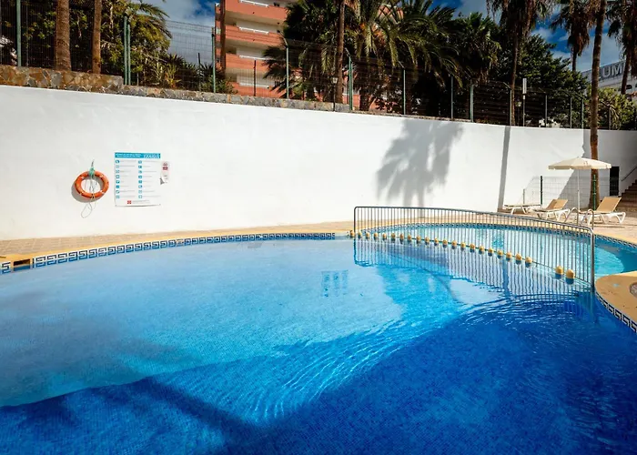 Parque Cattleya 101 Cozy In The Center * Playa de las Americas (Tenerife)